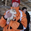 Новогодний корпоратив 2010